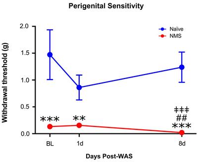 Differential Influence of Early Life and Adult Stress on Urogenital Sensitivity and Function in Male Mice